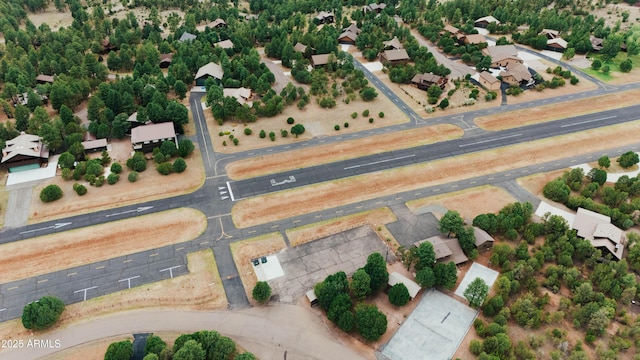 bird's eye view