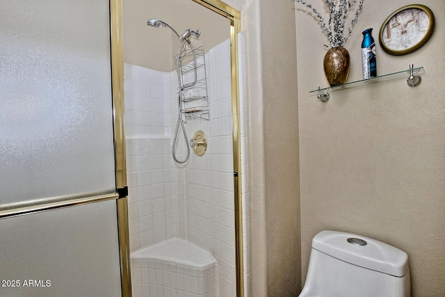 3510 E Hampton Ave Unit 74, Mesa, AZ 85204 - bathroom featuring a stall shower and toilet