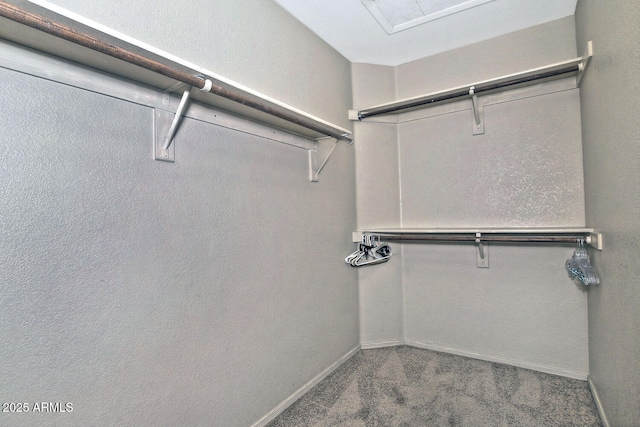 3510 E Hampton Ave Unit 74, Mesa, AZ 85204 - spacious closet featuring carpet floors