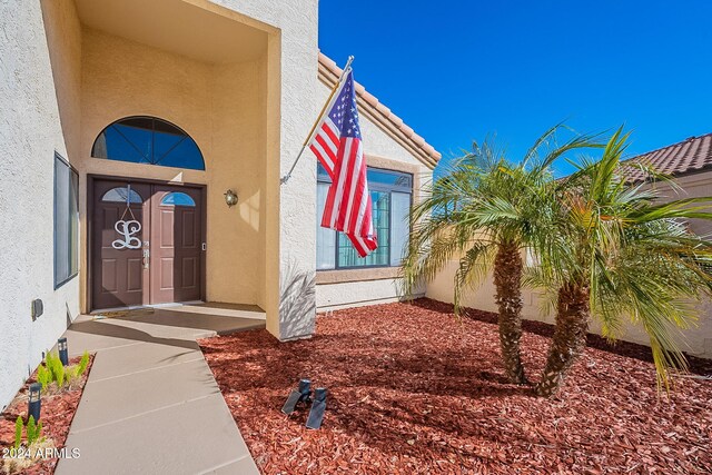 242 E Stonebridge Dr, Gilbert, AZ 85234 - doorway to property with stucco siding