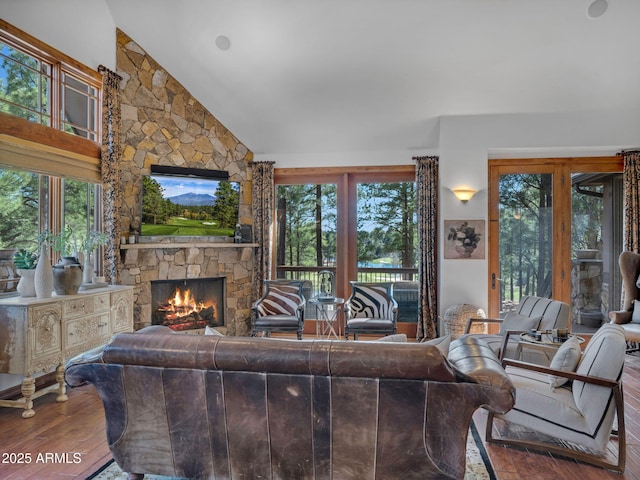 living room featuring wood finished floors, a fireplace, and vaulted ceiling