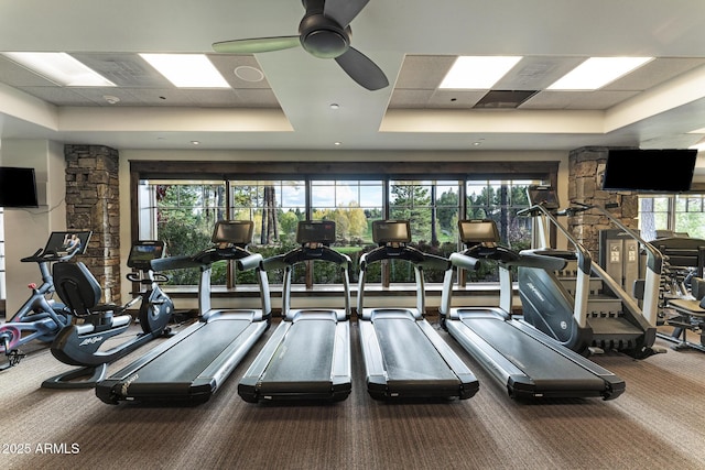 workout area with a raised ceiling, a ceiling fan, and carpet flooring