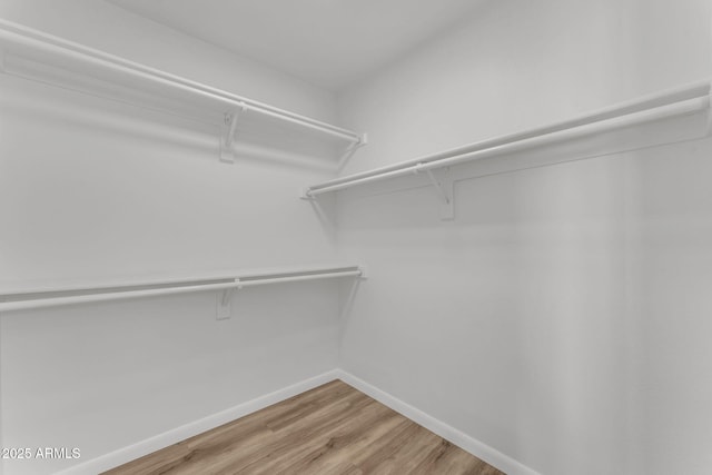 walk in closet with hardwood / wood-style floors