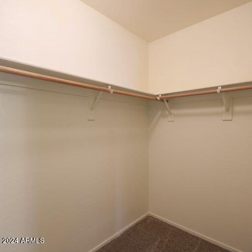 walk in closet featuring carpet floors