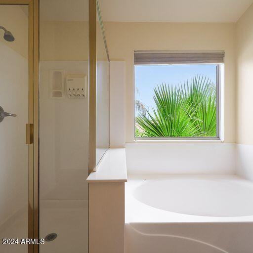 bathroom featuring plenty of natural light and plus walk in shower