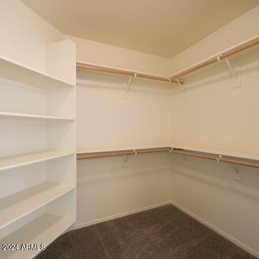 spacious closet with carpet floors