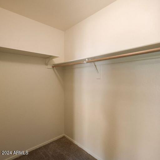 spacious closet featuring carpet flooring