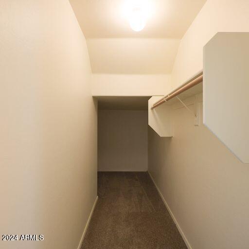 walk in closet featuring dark carpet