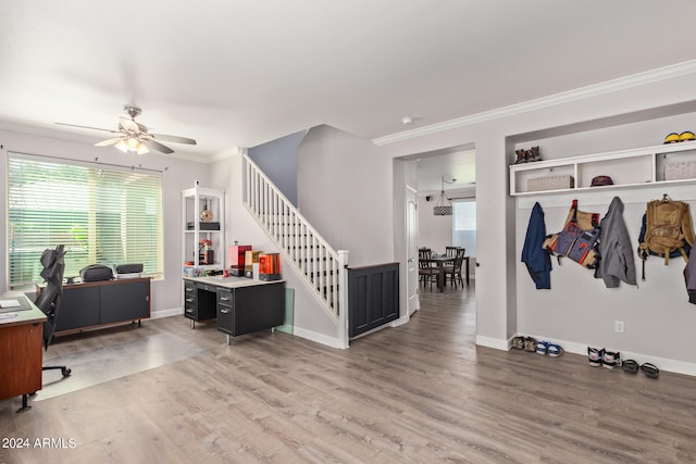 office with hardwood / wood-style floors, plenty of natural light, crown molding, and ceiling fan