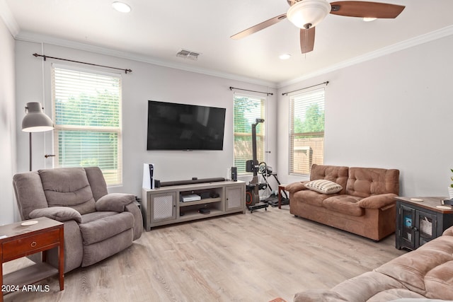 living room with ceiling fan, a healthy amount of sunlight, light wood-type flooring, and crown molding