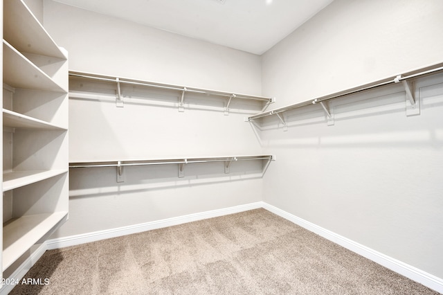 walk in closet with carpet