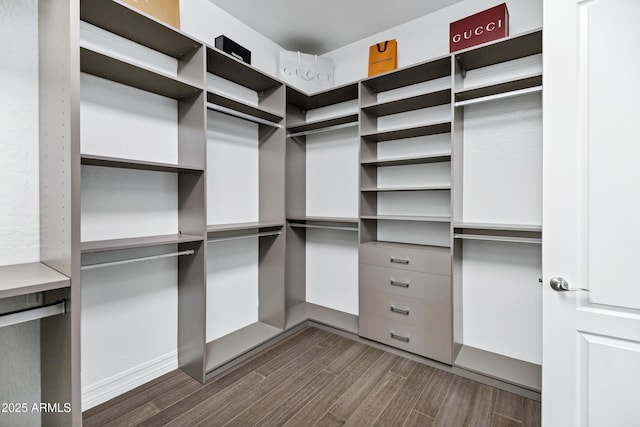 3038 E Longhorn Dr, Gilbert, AZ 85297 - spacious closet with dark wood-type flooring