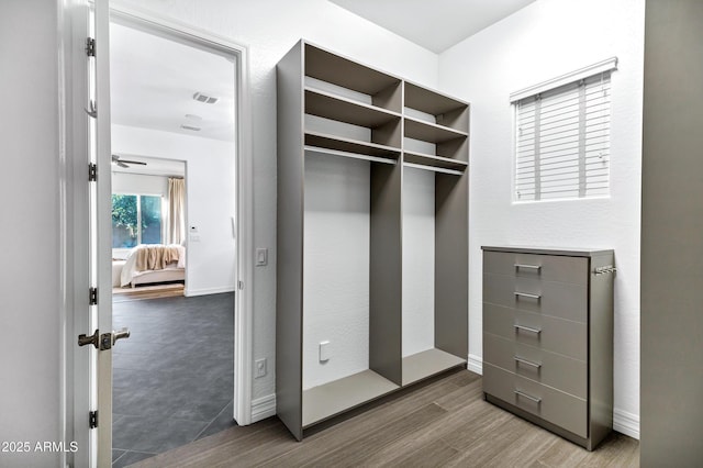 3038 E Longhorn Dr, Gilbert, AZ 85297 - walk in closet with dark wood finished floors and a ceiling fan