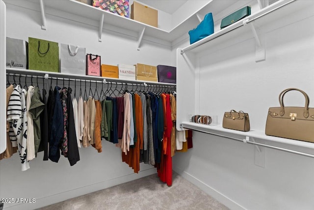 spacious closet with light carpet