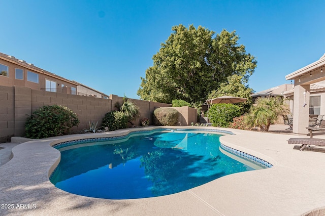 view of pool featuring a patio area