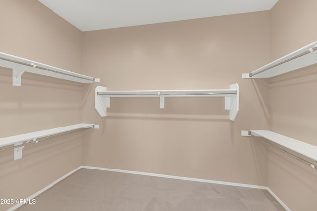 42122 N Anthem Springs Rd, Anthem, AZ 85086 - spacious closet featuring light colored carpet