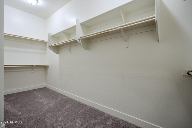 spacious closet featuring carpet flooring