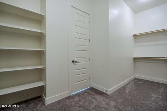 spacious closet with carpet flooring