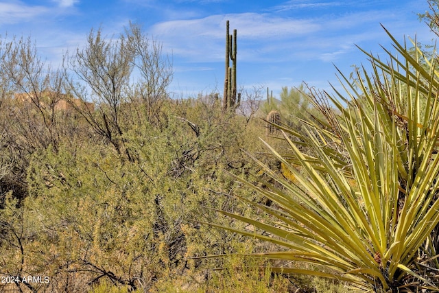 0 N 138th Way -, Unit Scottsdale, AZ 85262