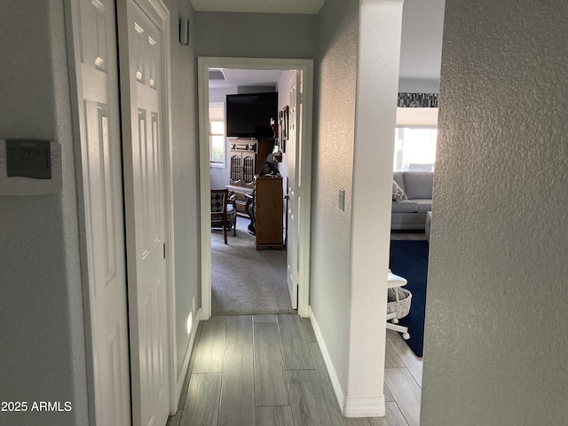 hall with light hardwood / wood-style floors