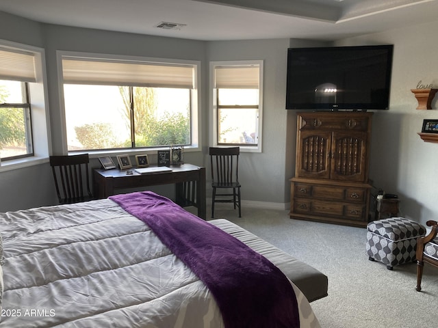 bedroom featuring carpet