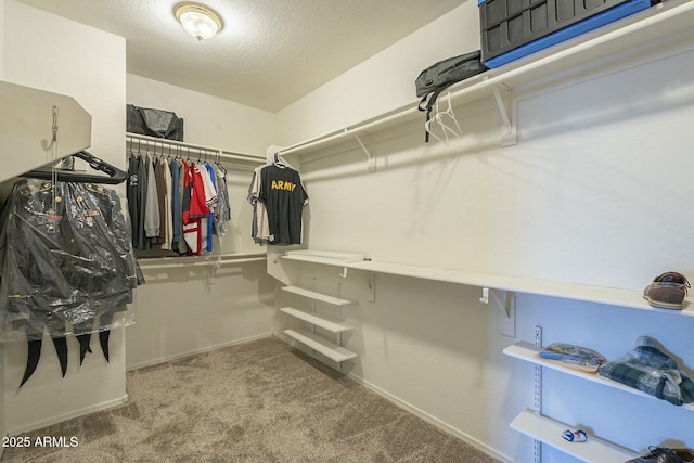 spacious closet with carpet