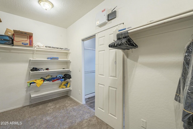 spacious closet featuring carpet floors