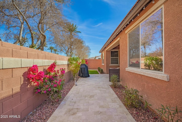 view of yard with a patio area and a fenced backyard