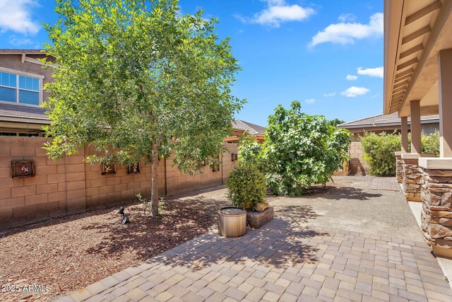 242 N Crosscreek Dr, Chandler, AZ 85225 - fenced backyard with a patio area
