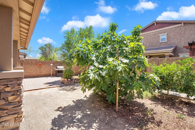242 N Crosscreek Dr, Chandler, AZ 85225 - fenced backyard with a patio area
