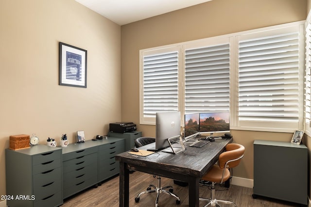 office featuring wood-type flooring