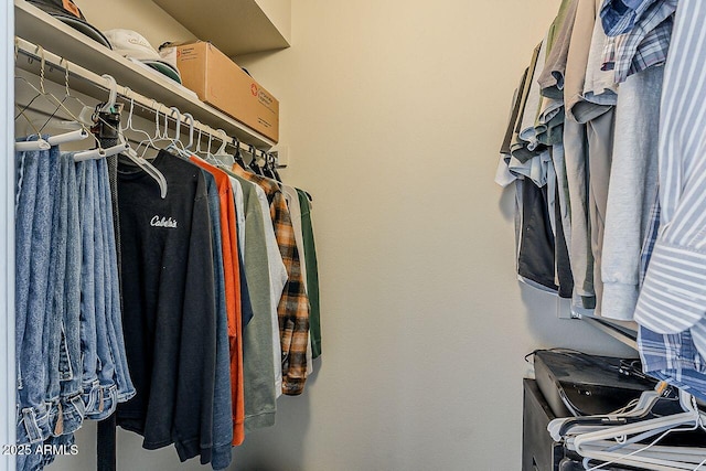 view of spacious closet