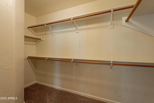 spacious closet with carpet