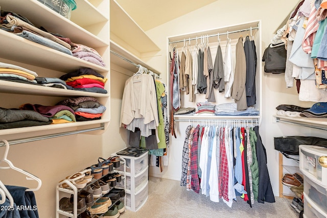 spacious closet featuring vaulted ceiling and carpet