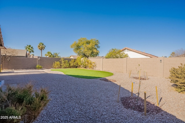 view of yard with a patio area