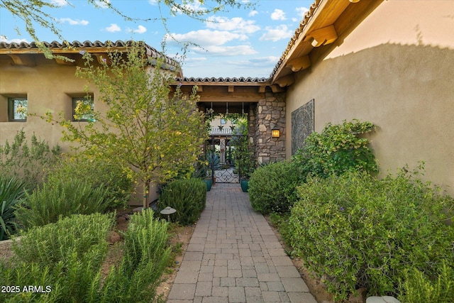 7846 E Wilderness Trl, Gold Canyon, AZ 85118 - view of exterior entry featuring stucco siding and stone siding