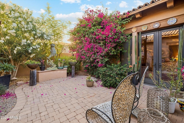 7846 E Wilderness Trl, Gold Canyon, AZ 85118 - view of patio