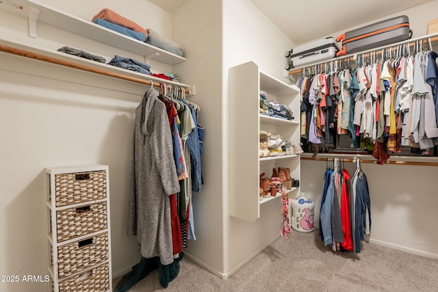 spacious closet with carpet