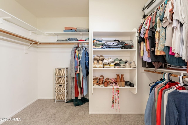 walk in closet featuring carpet flooring