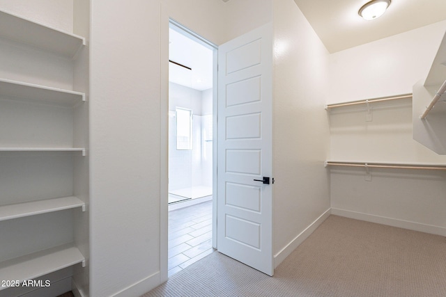 spacious closet with light colored carpet