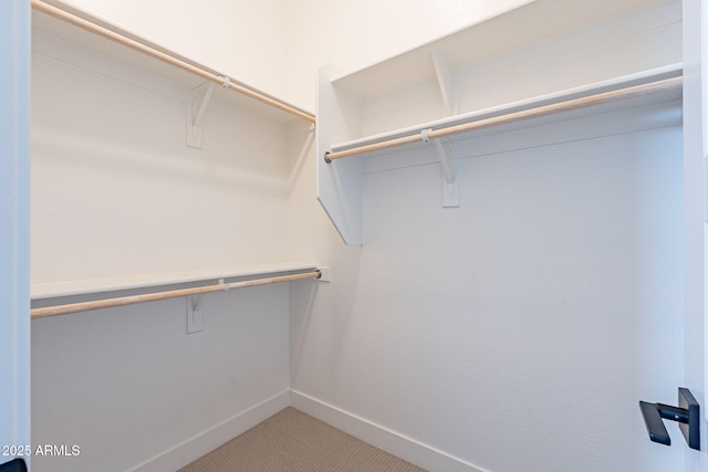 spacious closet with light carpet