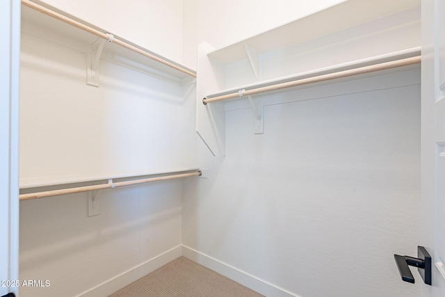 view of walk in closet