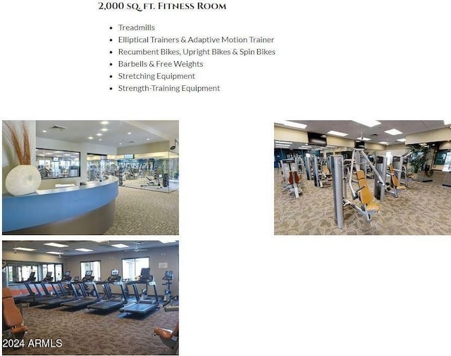 exercise room featuring carpet