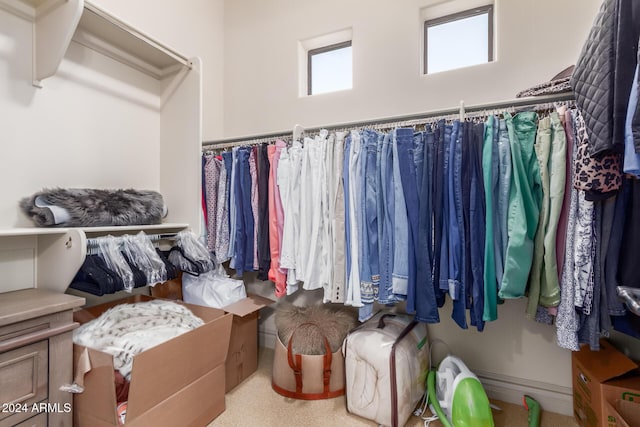 spacious closet with carpet