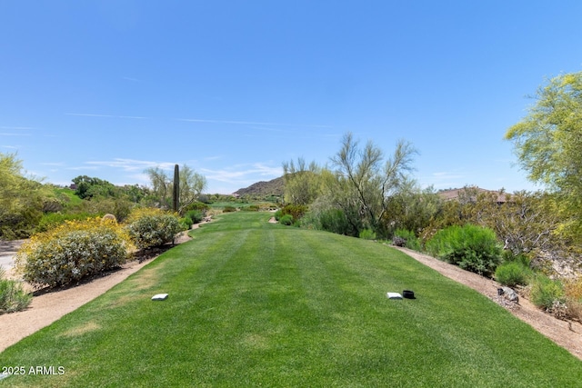 7445 E Eagle Crest Dr Unit 1145, Mesa, AZ 85207 - surrounding community with a yard