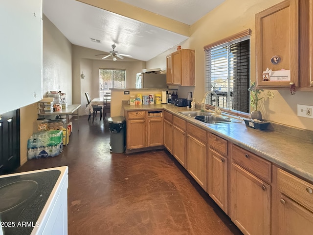 kitchen featuring sink, a wealth of natural light, vaulted ceiling, and kitchen peninsula