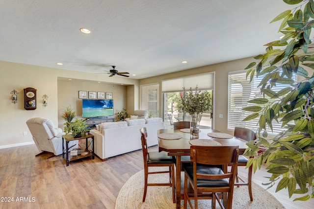 dining room with ceiling fan, a textured ceiling, and light wood-type flooring