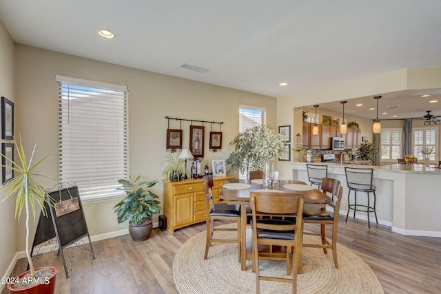 dining area with sink, plenty of natural light, and light hardwood / wood-style floors