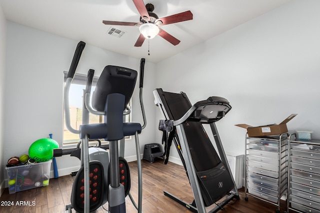 workout room featuring ceiling fan and dark hardwood / wood-style floors