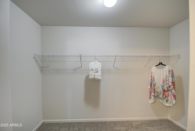 spacious closet featuring carpet